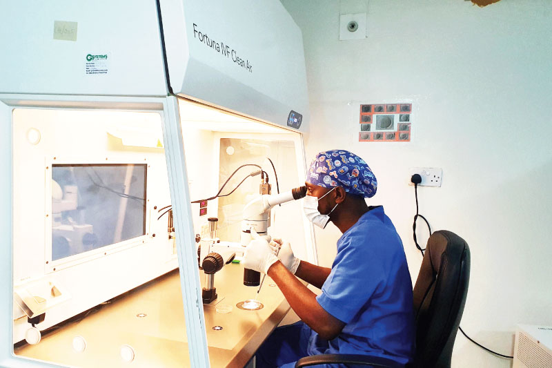 Fertility Lily Hospitals