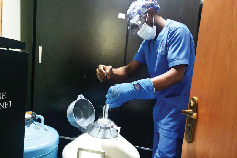 Fertility Lily Hospitals