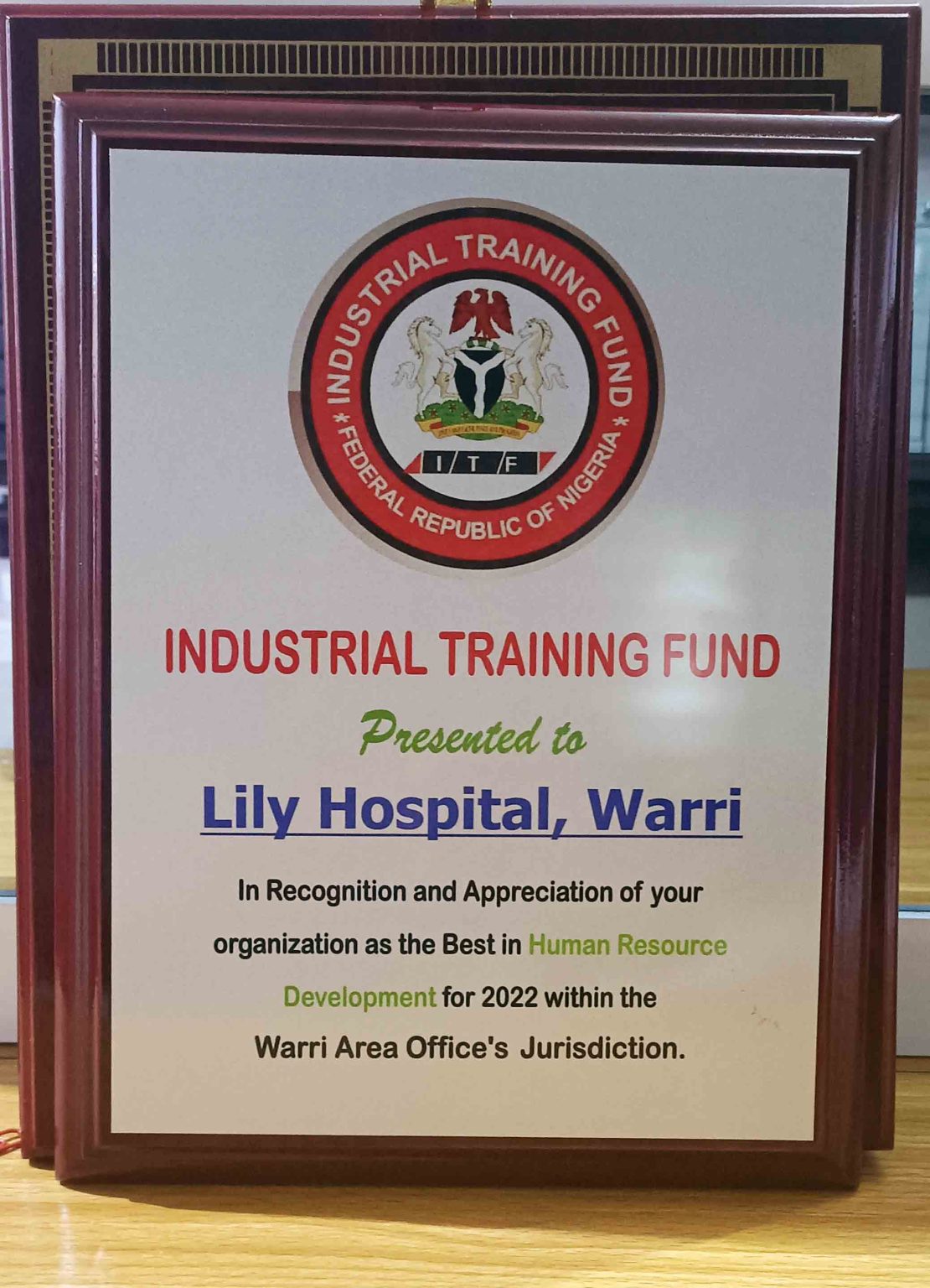 What Did Lily Do In The Hospital In France Careers - Lily Hospitals